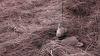 k-2015-04-02 18.48.14.jpg